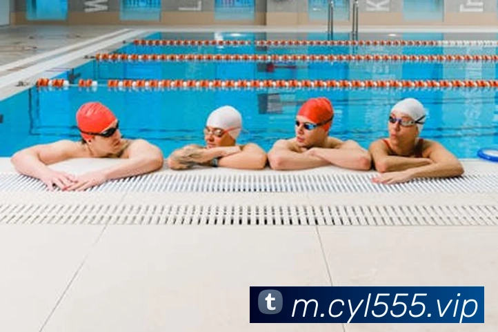 体育数据展示